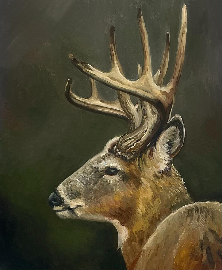 The Silent Watcher, 16x20x2" oil on canvas. 2024. Unavailable.