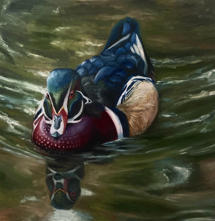 Wood Drake, 20x20x1 1/8" oil on canvas. Unvailable. 2024